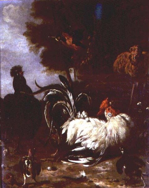 الكوكريل والدواجن الأخرى في المناظر الطبيعية المشجرة بواسطة Melchior de (من أتباع) Hondecoeter