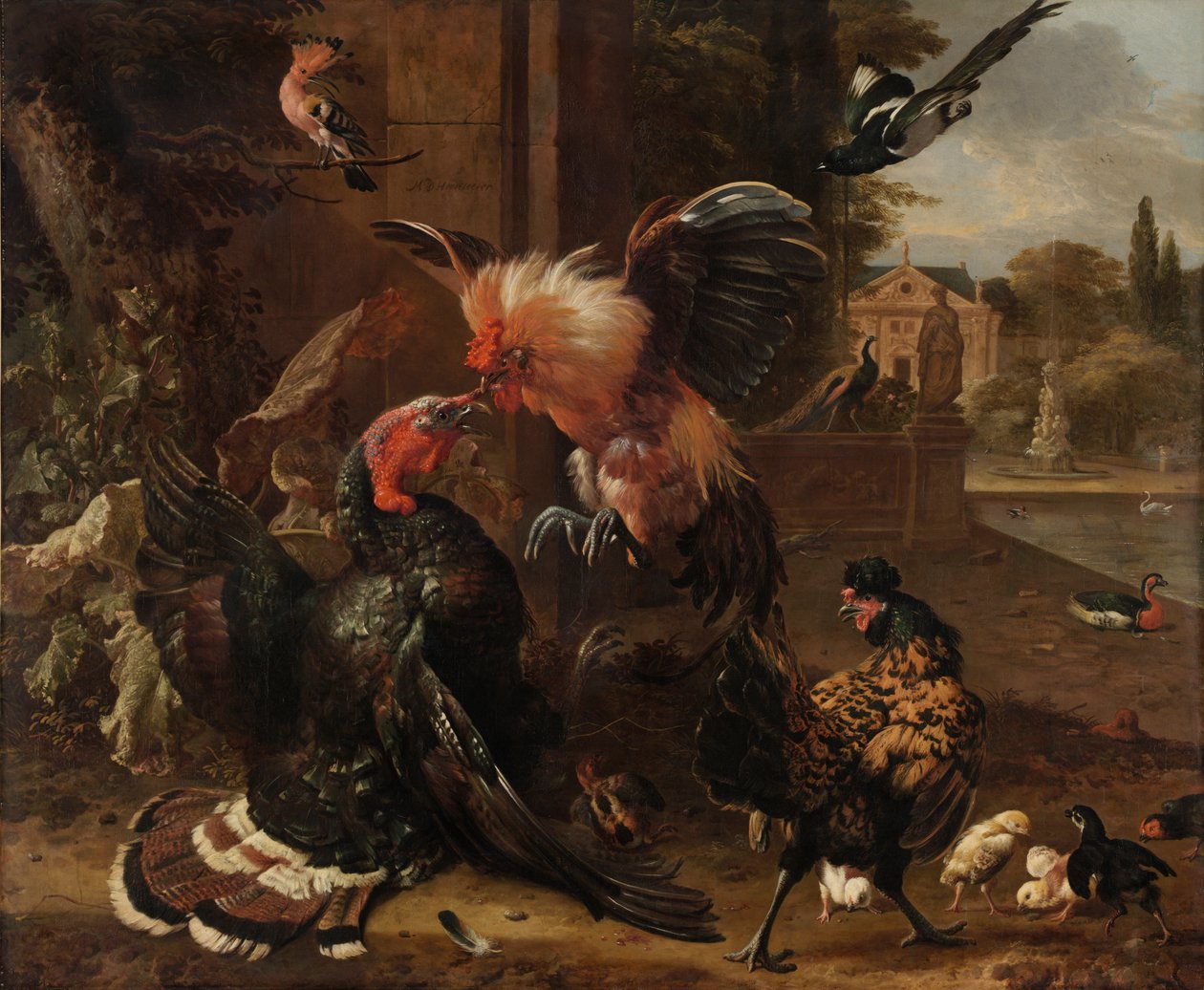 الديك وقتال تركيا بواسطة Melchior de Hondecoeter