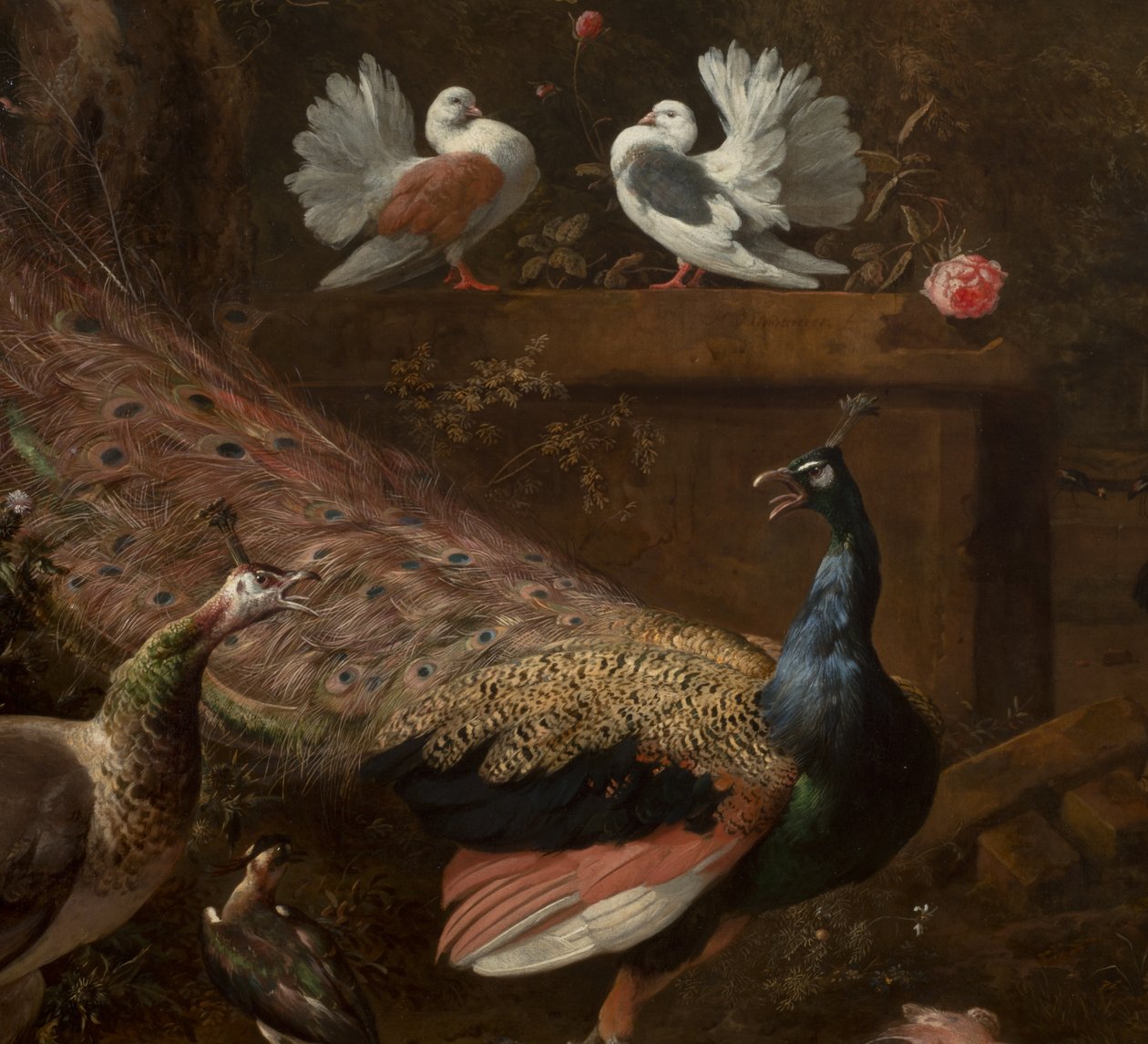 التفاصيل من Menagerie ، حوالي 1680 بواسطة Melchior de Hondecoeter