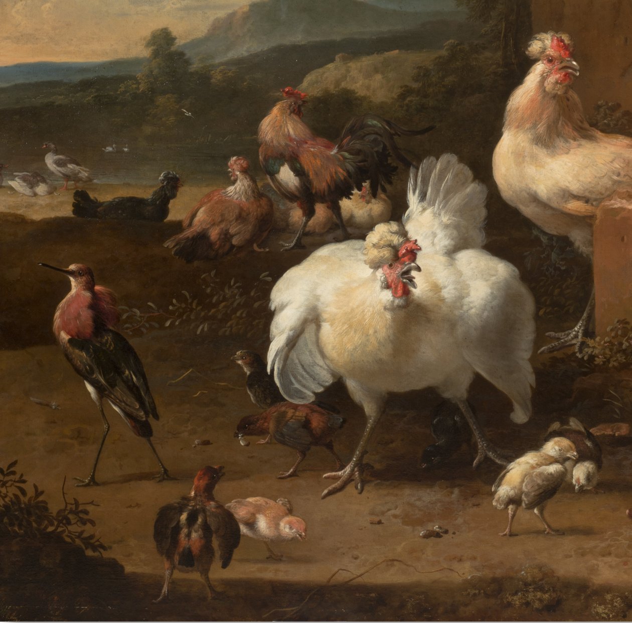التفاصيل من Menagerie ، حوالي 1680 بواسطة Melchior de Hondecoeter