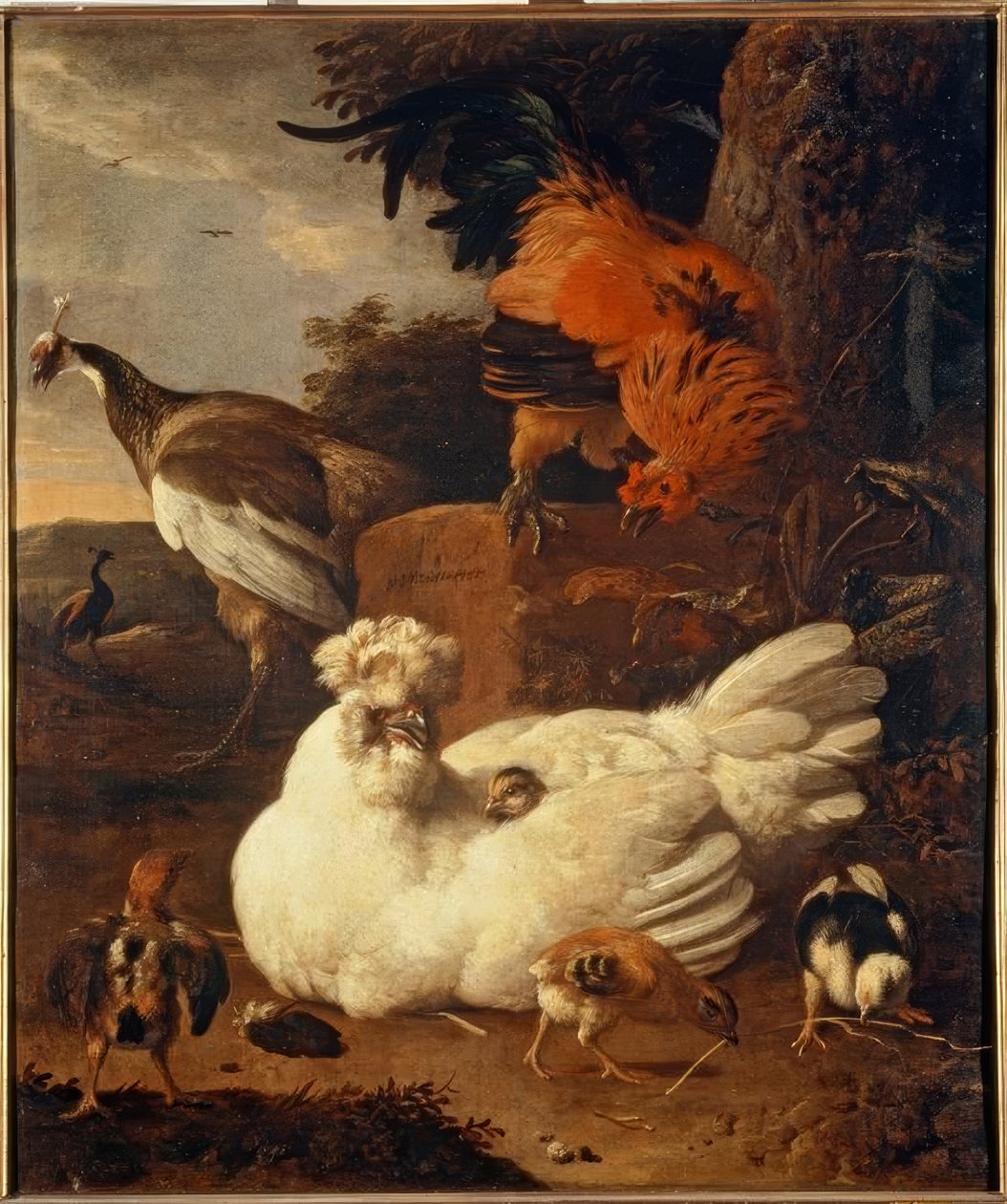 M. de Hondecoeter ، الدجاجة الأم مع الدجاج بواسطة Melchior de Hondecoeter