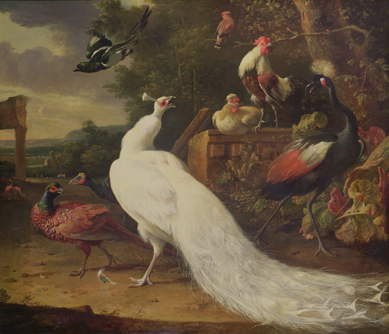 الطاووس الأبيض بواسطة Melchior de Hondecoeter