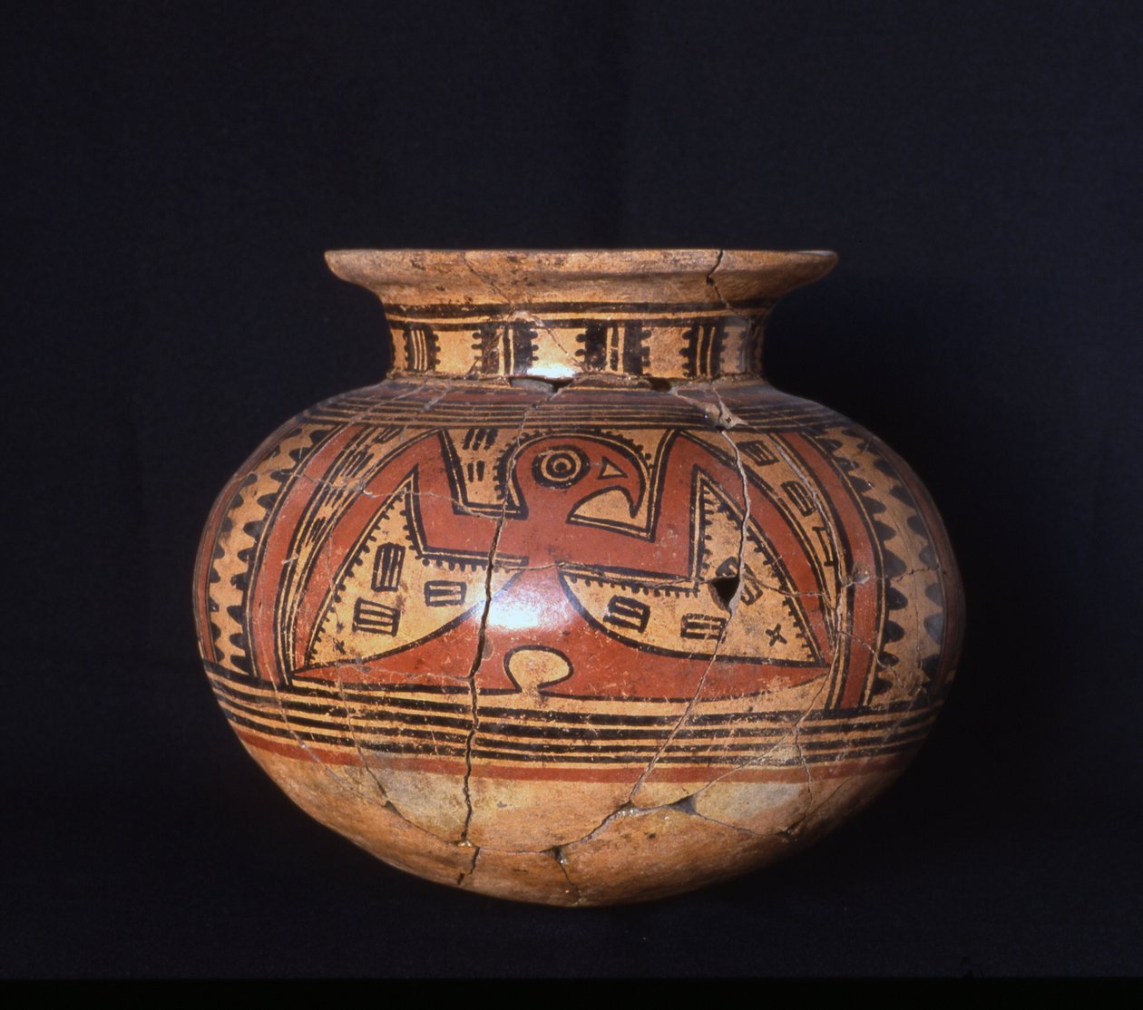 جرة جنائزية ذات أطواق ، أكواع ، طور ، 500-600 م (سيراميك) بواسطة أمريكا الوسطى