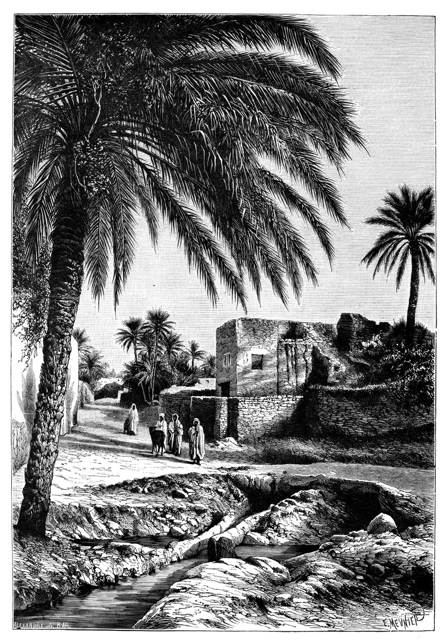 شارع بسكرة ، الجزائر ، 1895. بواسطة Meunier