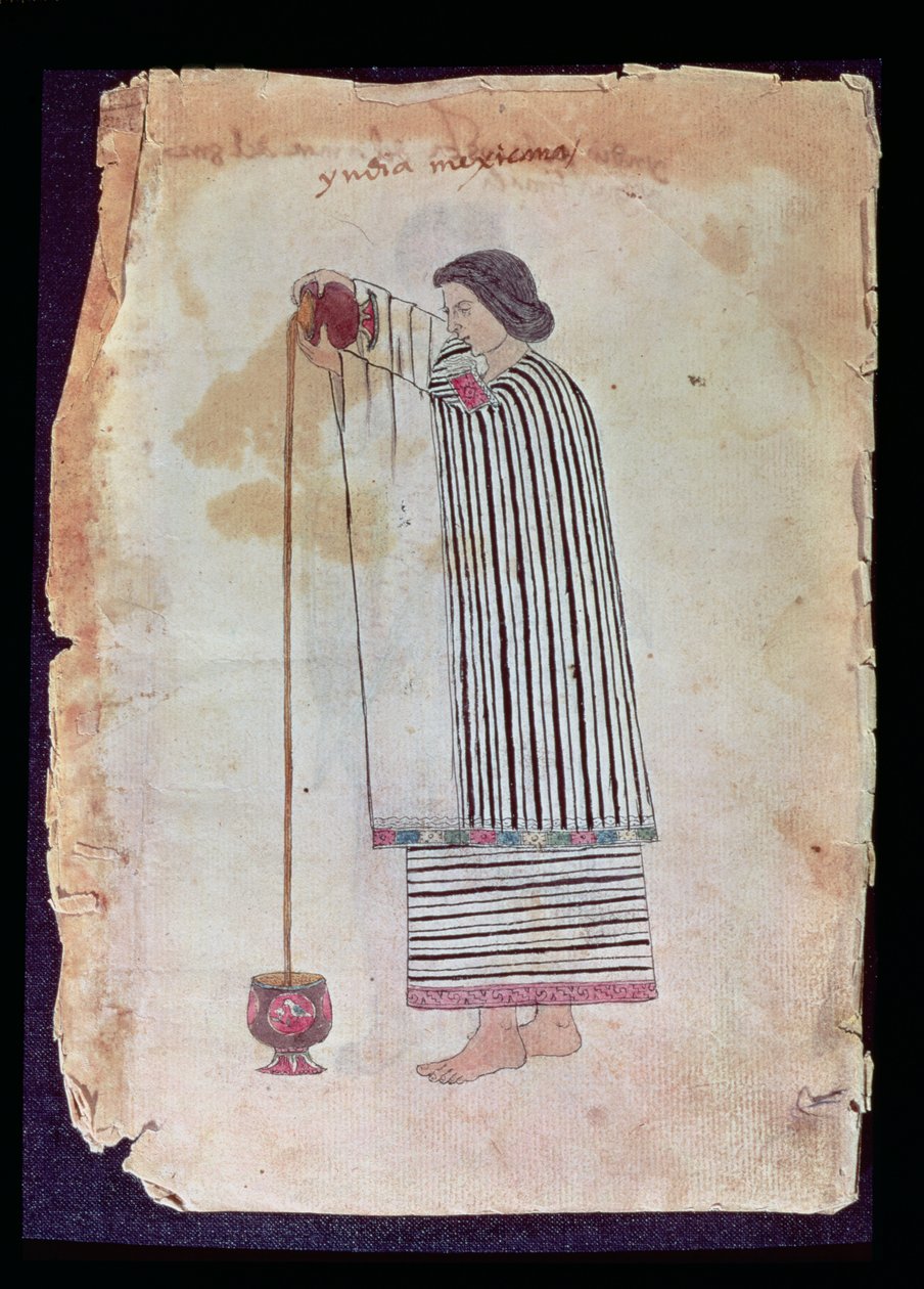 المكسيكي الهندي المجهز للشيكولاتة ، من Codex Tuleda ، 1553 بواسطة المدرسة المكسيكية