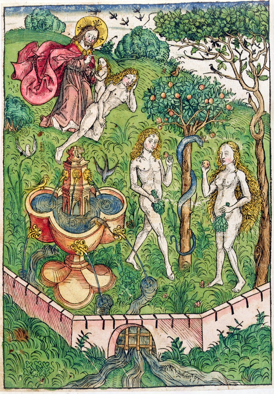 إنشاء وإغراء آدم وحواء ، من "Le tresor ، ou recent de la riches du salut de la beatitude eternelle" بواسطة Koberger ، نشر في Nuernberg ، 1491 (قطع خشبية ملونة) بواسطة مايكل ولجيموت