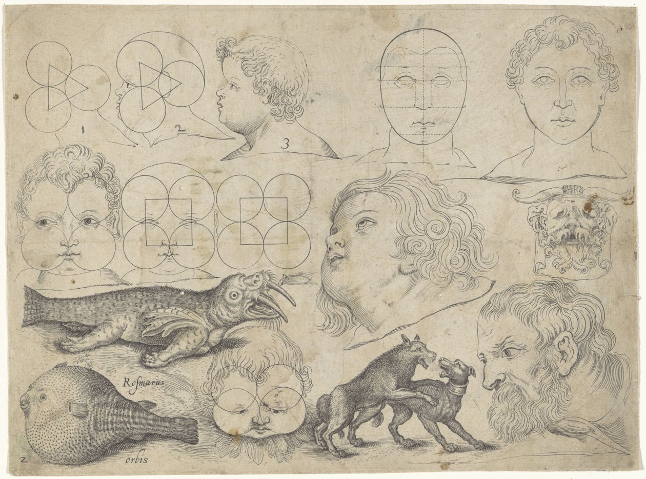 ورقة دراسة مع أمثلة للرسم: أشكال ، حيوانات عينات الرسم (عنوان السلسلة) بواسطة مايكل سنايدرز