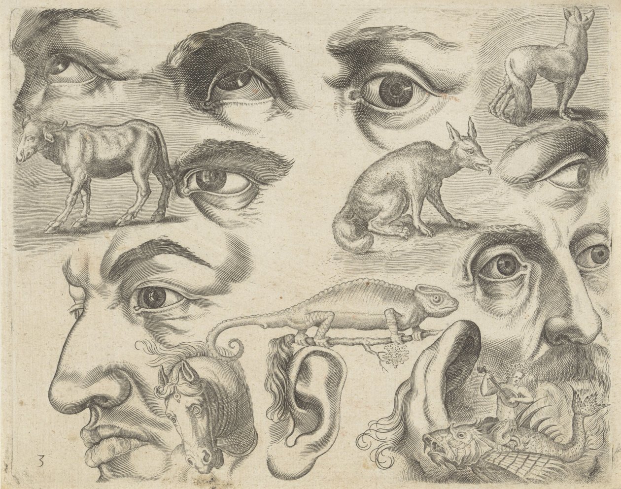 ورقة دراسة مع أمثلة للرسم: عيون ورؤوس وحيوانات أمثلة الرسم (عنوان السلسلة) بواسطة مايكل سنايدرز