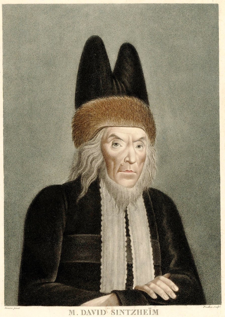 صورة ديفيد سينتزهايم 1745-1812 ، 1800s. بواسطة ميشيل فرانسوا دامام Demartrais