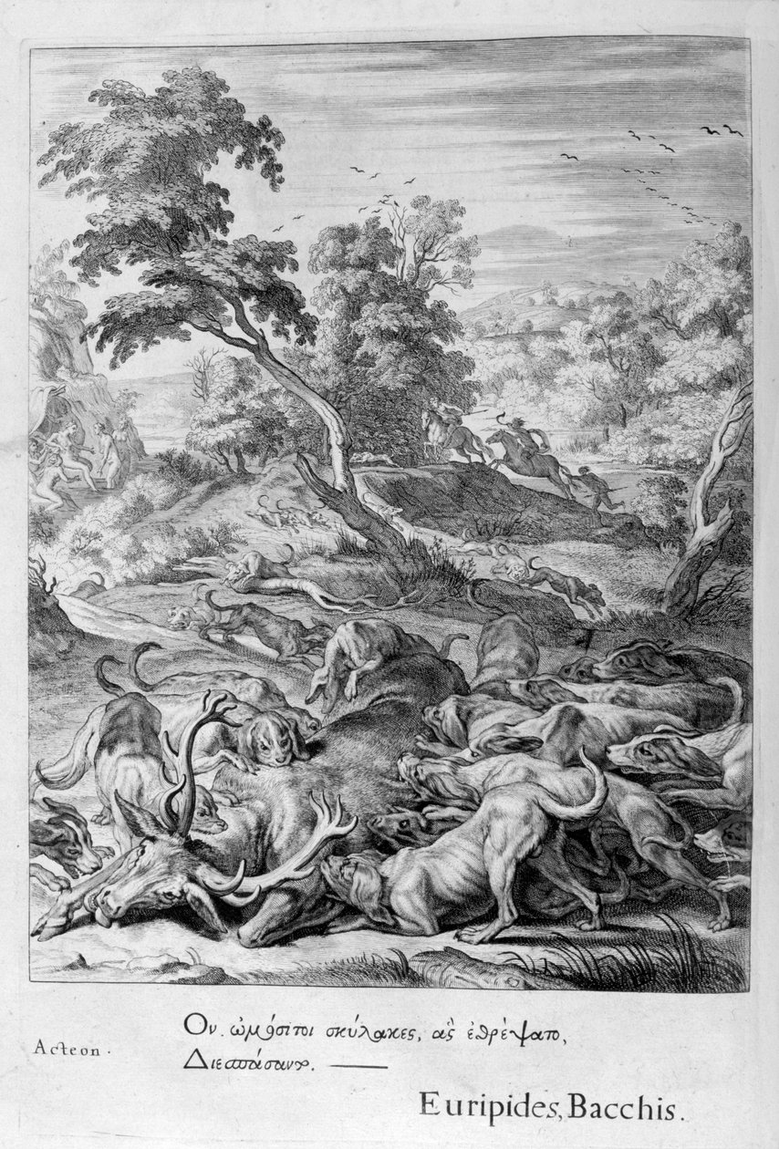 تحول Actaeon إلى أيل وأكله كلاب الصيد ، 1655 بواسطة ميشيل دي مارول
