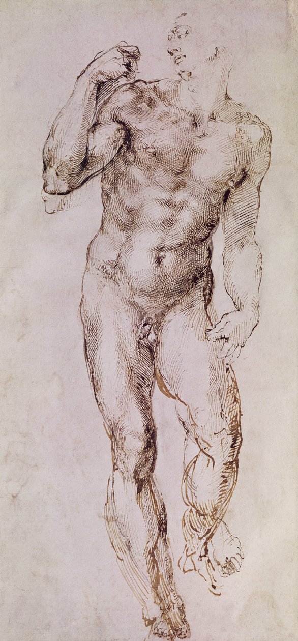 رسم ديفيد بحباله ، 1503-4 بواسطة مايكل أنجلو بوناروتي