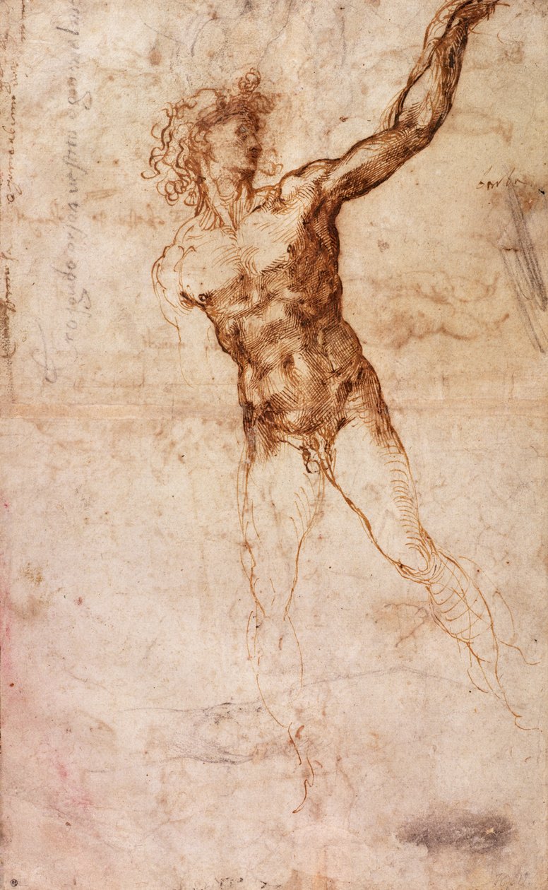 رسم لرجل عاري (W. 4 recto) بواسطة مايكل أنجلو بوناروتي