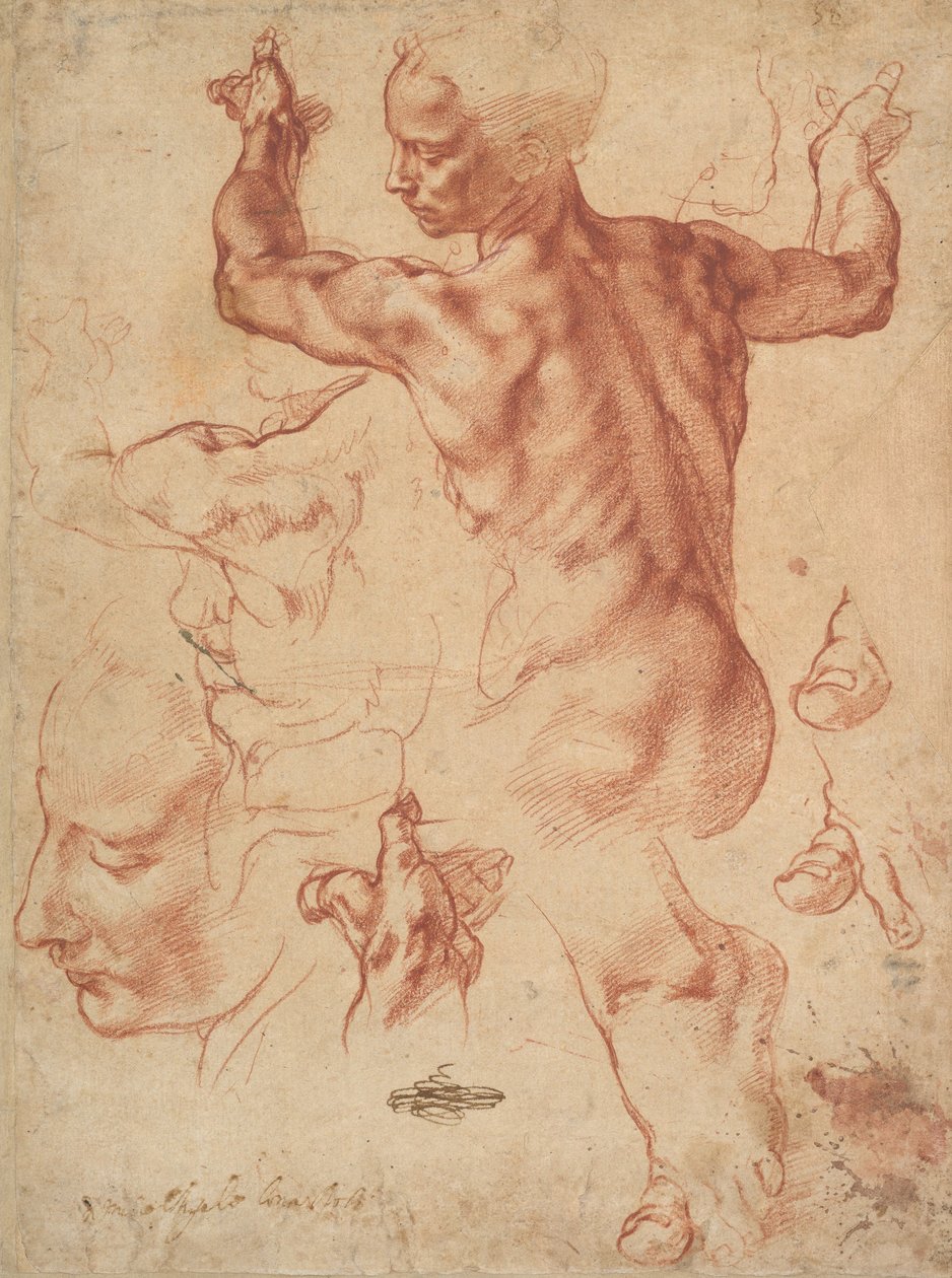 دراسات للعرافة الليبية (المستقيم) ، c.1510-11 (الطباشير الأحمر على الورق) بواسطة مايكل أنجلو بوناروتي