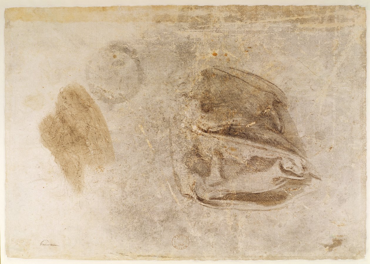 دراسة عن أردية Erythraean Sibyl (فحم مع إبرازات بيضاء وغسل بني على الورق) بواسطة مايكل أنجلو بوناروتي