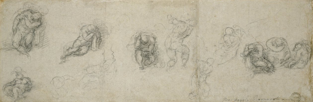 دراسة الرسل ، c.1550-55 (الطباشير الأسود على الورق) بواسطة مايكل أنجلو بوناروتي