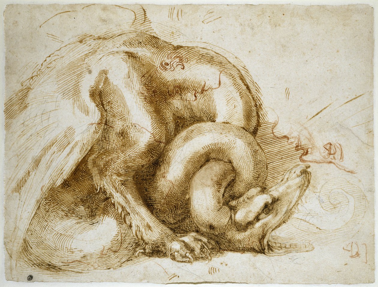 دراسة وحش مجنح ، c.1525 (طباشير أحمر وأسود على ورق) بواسطة مايكل أنجلو بوناروتي