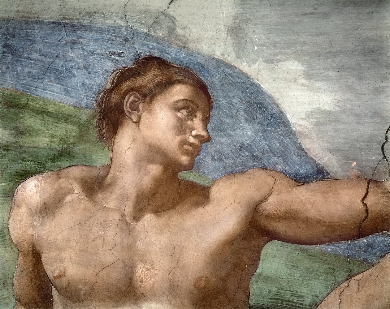 خلق آدم ، تفاصيل رأس آدمز ، 1508-121 بواسطة مايكل أنجلو بوناروتي