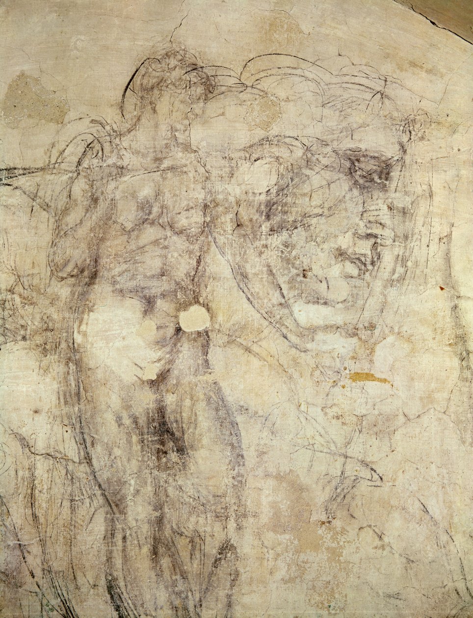 رسم على الحائط لشكل أنثوي ورأس ، c.1530 (فحم على الجص) بواسطة مايكل أنجلو بوناروتي