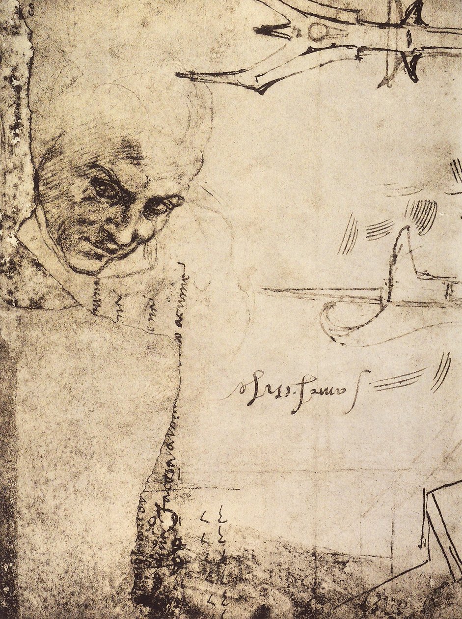 الوجه ، الرسم بواسطة Michelangelo ، خزانة الرسومات والمطبوعات ، معرض أوفيزي ، فلورنسا بواسطة مايكل أنجلو بوناروتي