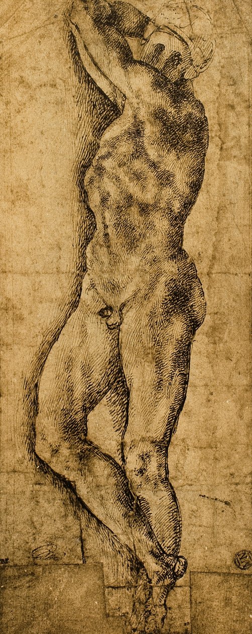 ذكر عاري رسم مايكل أنجلو. اللوفر ، باريس بواسطة مايكل أنجلو بوناروتي