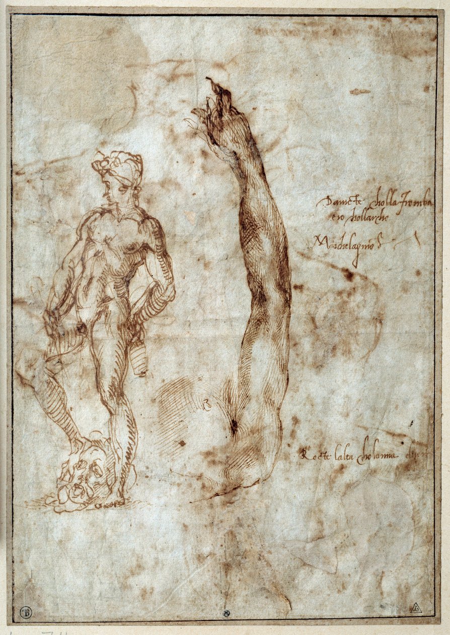 دراسة عارية. Michelangelo Buonarroti dit Michelangelo (Michelangelo أو Michel Ange بواسطة مايكل أنجلو بوناروتي