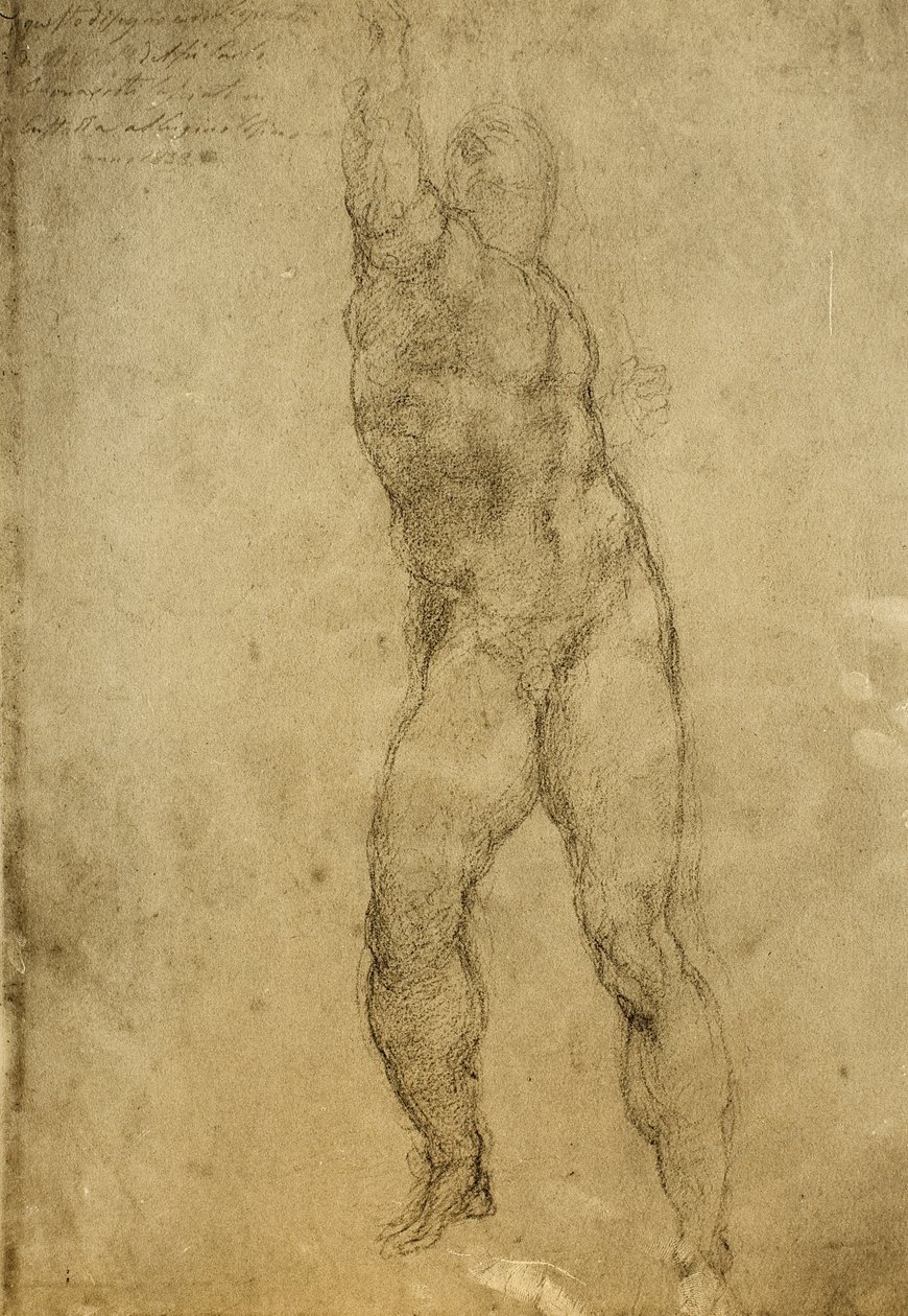 دراسة عارية ، رسم مايكل أنجلو. غاليري ديل أكاديميسيا ، البندقية بواسطة مايكل أنجلو بوناروتي