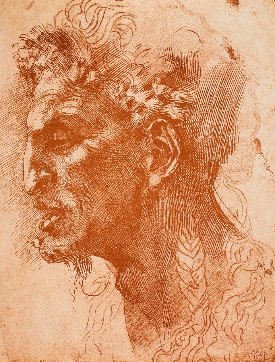 رأس الشمامات رسم مايكل أنجلو. اللوفر ، باريس بواسطة مايكل أنجلو بوناروتي