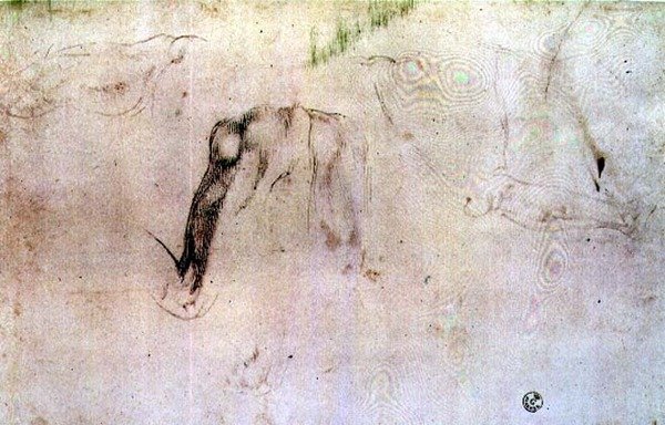 رسم الساقين (فحم على ورق) بواسطة مايكل أنجلو بوناروتي