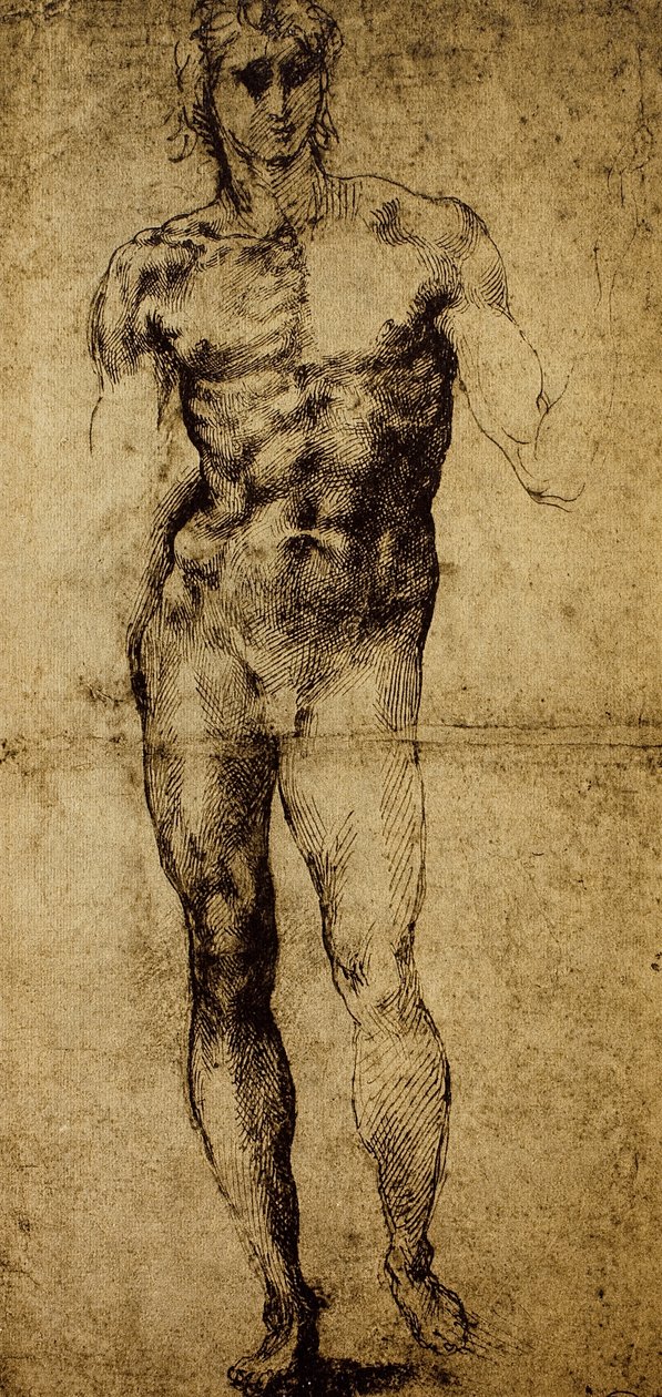 دراسة لعارية الذكور ، مايكل أنجلو بوناروتي (1475-1564) ، رسم ، باريس ، متحف اللوفر بواسطة مايكل أنجلو بوناروتي