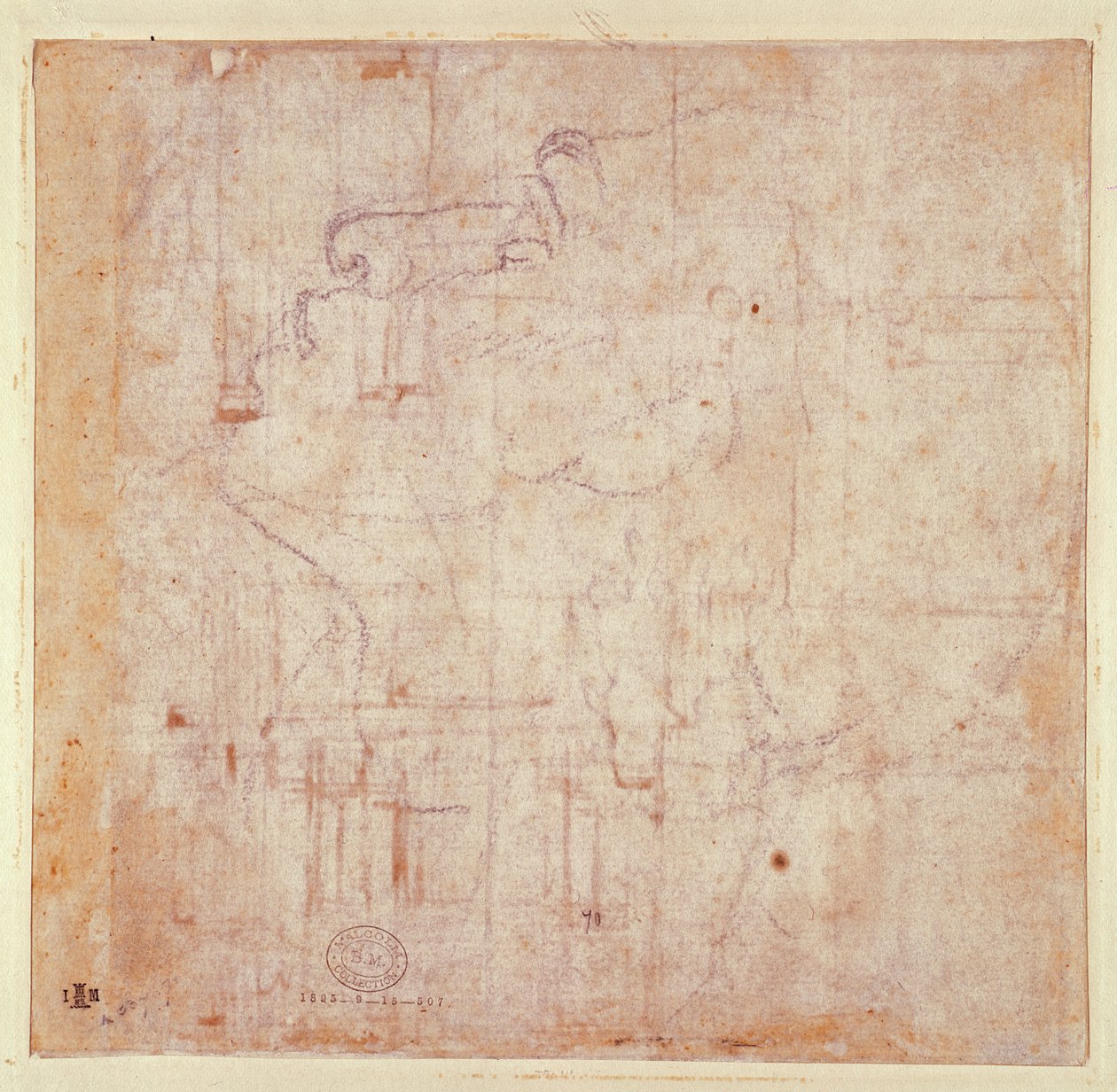 دراسة رأس ، 1525-26 (طباشير أسود على ورق) (الصفحة الرئيسية) (لرؤية المستقيم 191779) بواسطة مايكل أنجلو بوناروتي