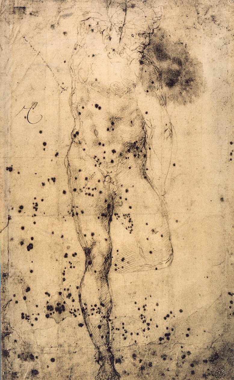دراسة عري الذكر مع ساقه اليسرى المرتفعة ؛ رسم مايكل أنجلو. متحف اللوفر ، باريس بواسطة مايكل أنجلو بوناروتي