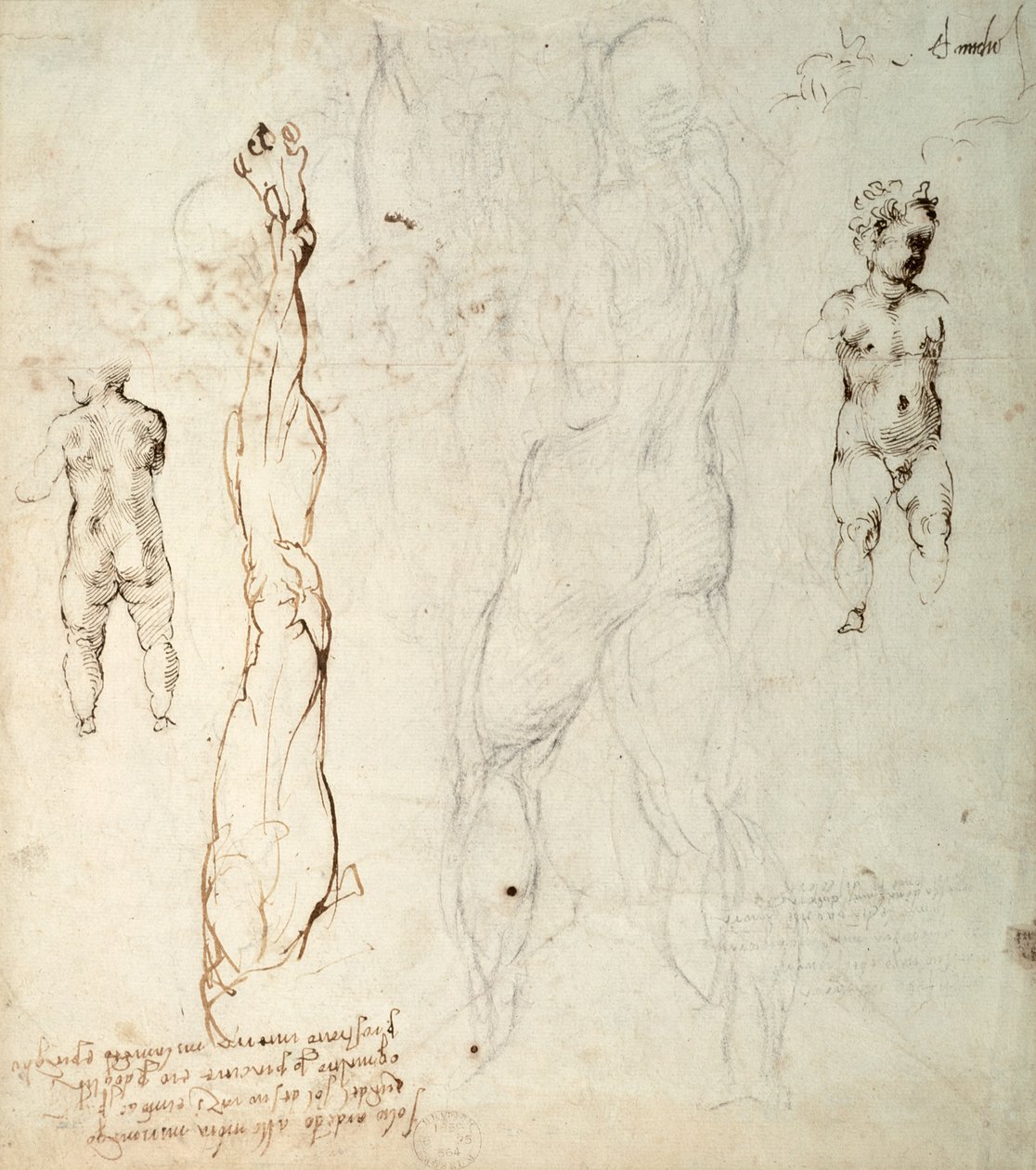 دراسة المسيح الطفل ورسم تشريحي مع ملاحظات (الطباشير الأسود والحبر البني على الورق) (بالعكس) بواسطة مايكل أنجلو بوناروتي