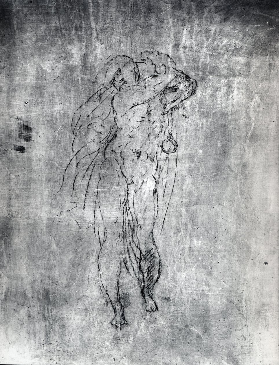 رسم على الحائط لشكل ذكر ، ج 1530 (فحم على جص) بواسطة مايكل أنجلو بوناروتي