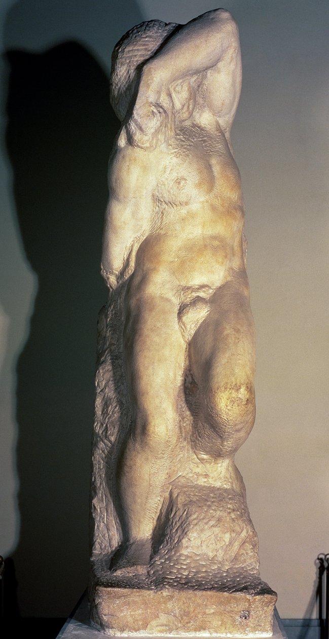 يونغ رقيق ، ج .1520-23 بواسطة مايكل أنجلو بوناروتي