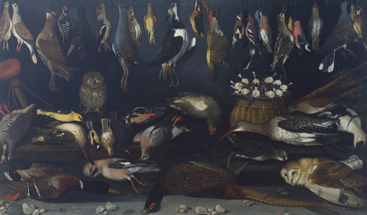Still life with Birds, by Master of the Hartford Still-life (oil on canvas) بواسطة مايكل أنجلو ميريسي دا كارافاجيو