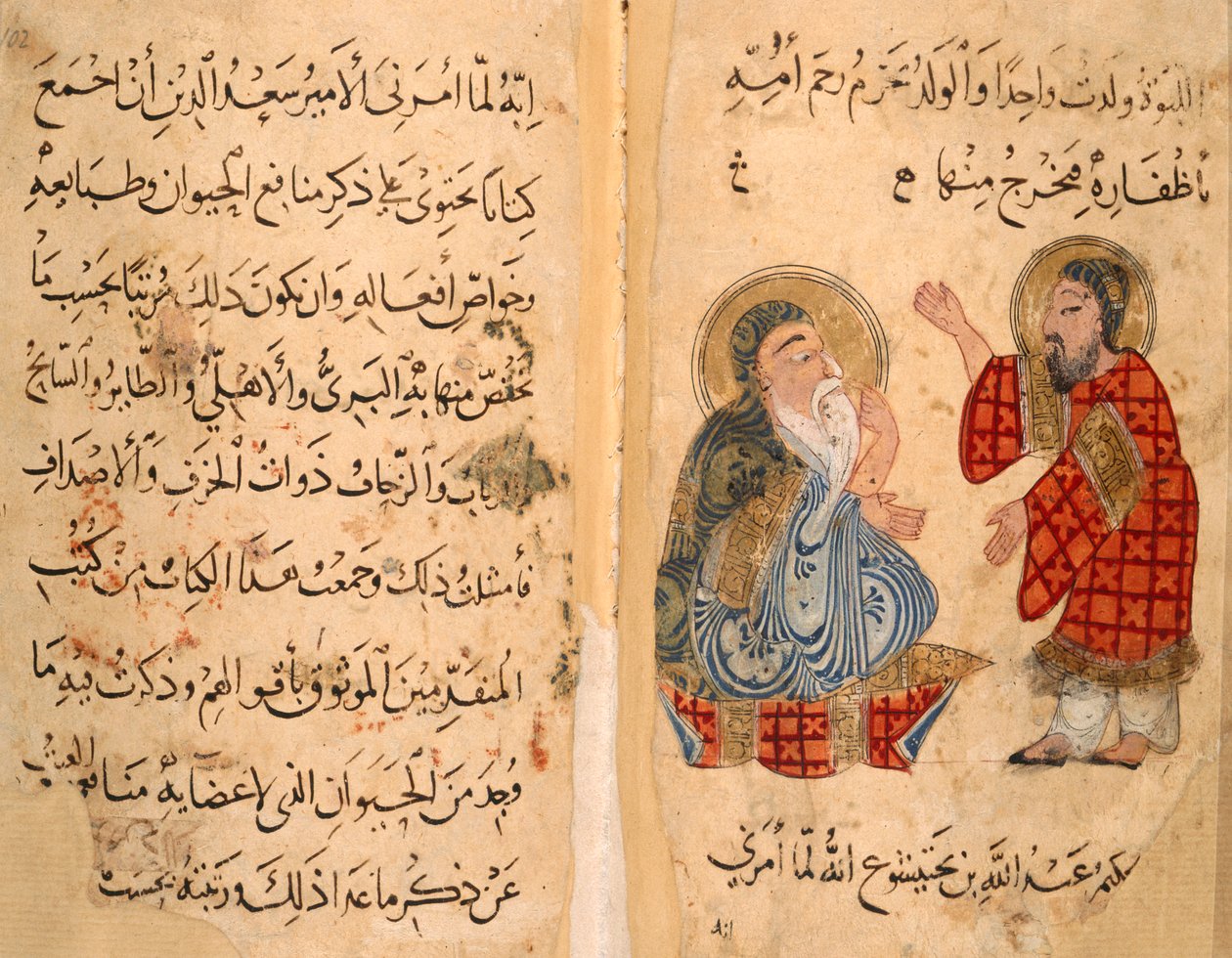 أو. 2784 ، صص .101-101 ، صفحة نصية ، ومقابلها ، ابن بختيشو والتلميذ ، رسم إيضاحي من "كتاب نعت الحيوان" لأرسطو وابن بختيشو (ورق) بواسطة مدرسة الشرق الأوسط