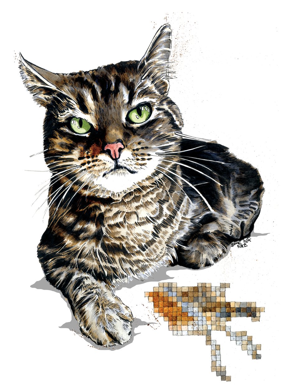 Gift Cat on White ، 2020 بواسطة مايك ديفيس