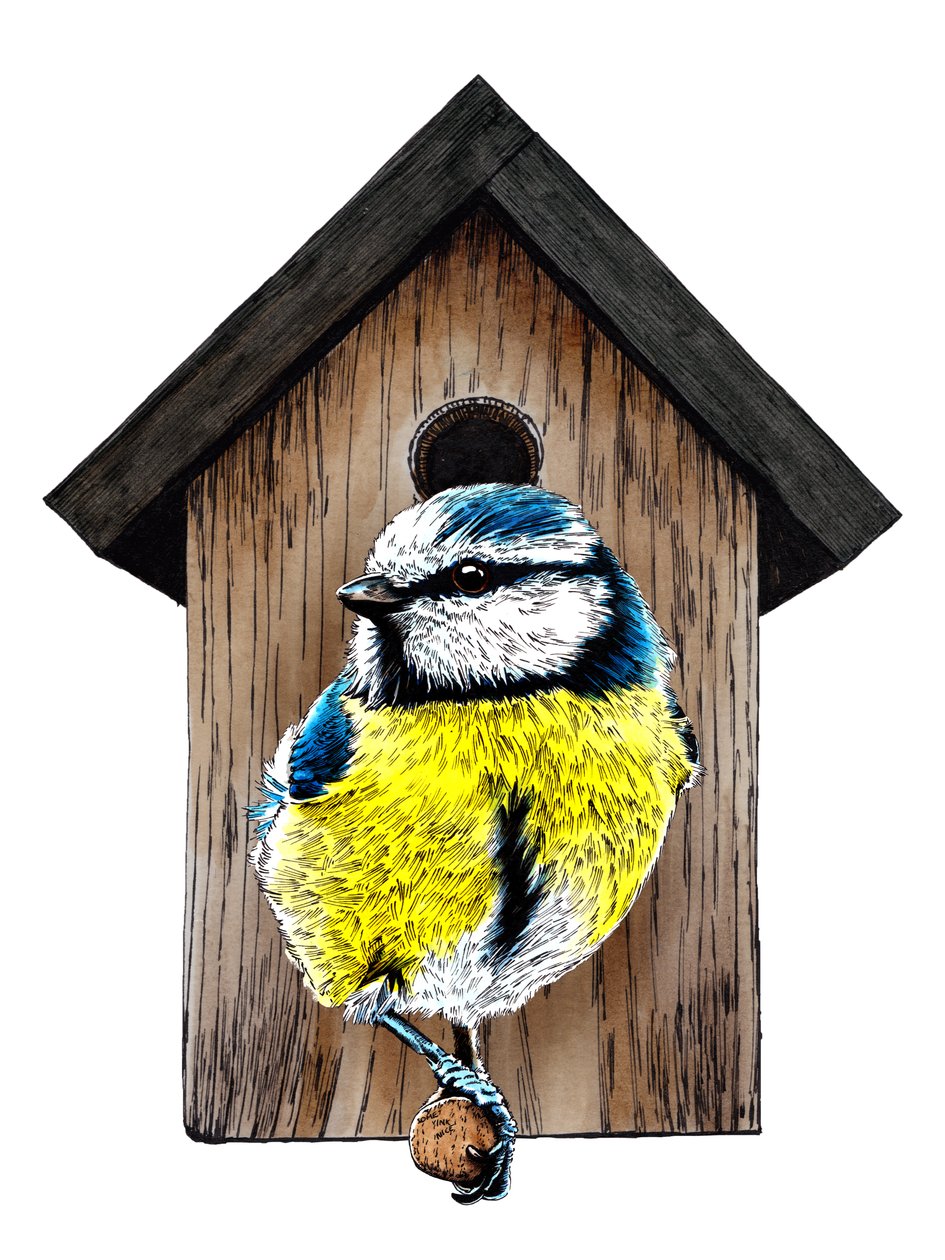 New Home Blue Tit on White ، 2020 بواسطة مايك ديفيس