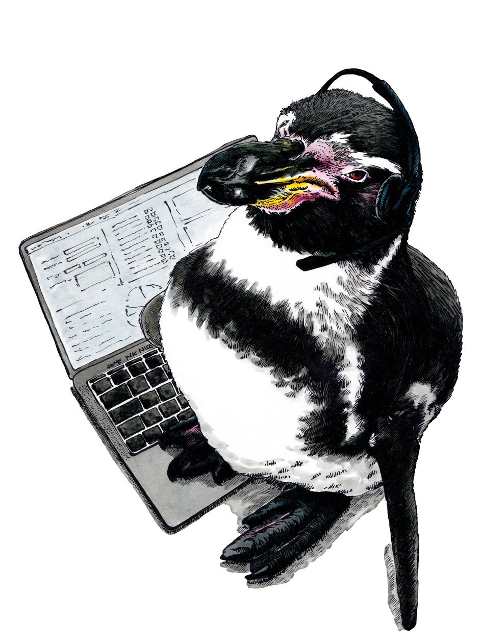 وظيفة New Job Penguin on White ، 2020 بواسطة مايك ديفيس