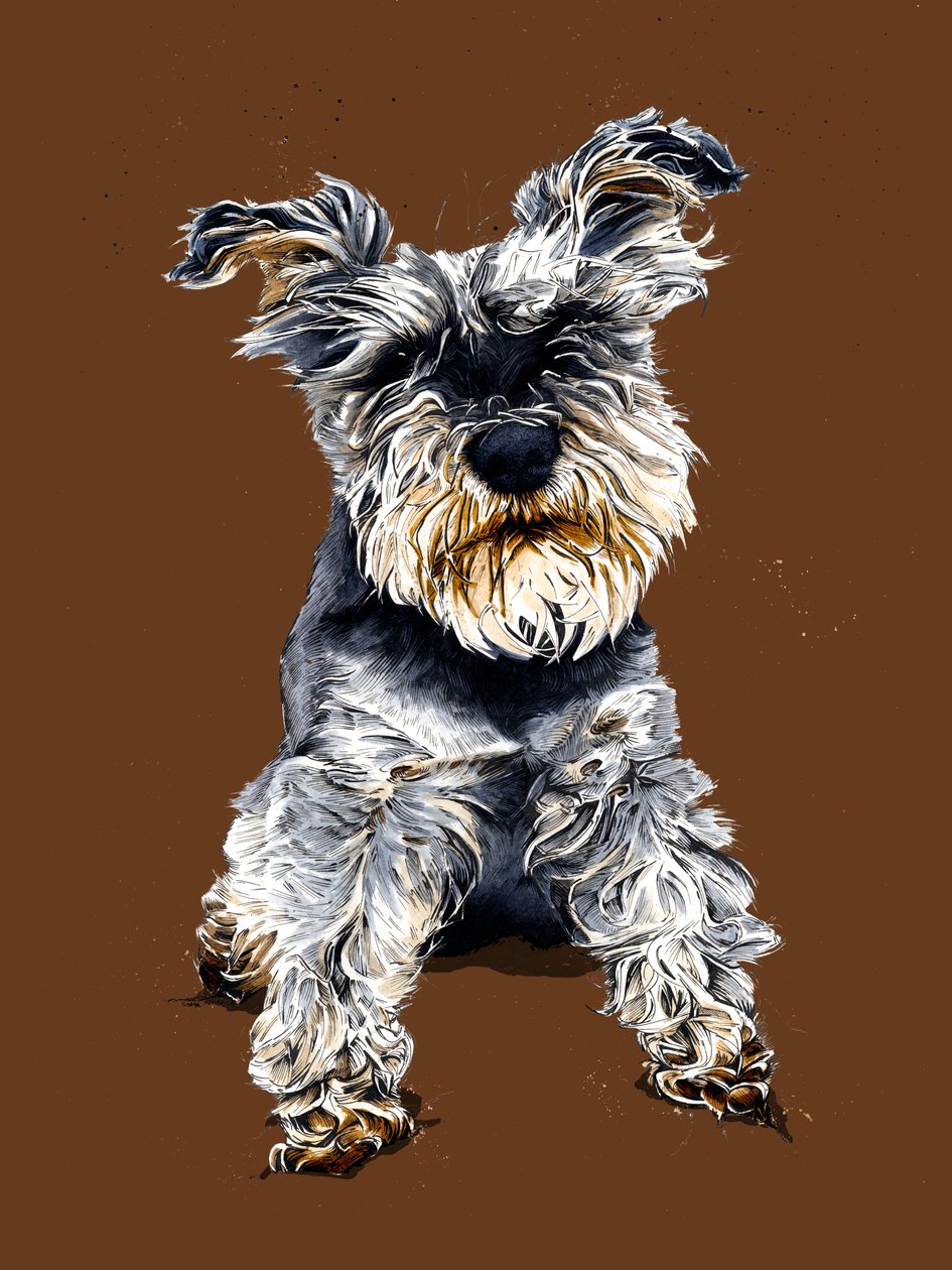 Ollie The Schnauzer على Burnt Orange ، 2020 بواسطة مايك ديفيس
