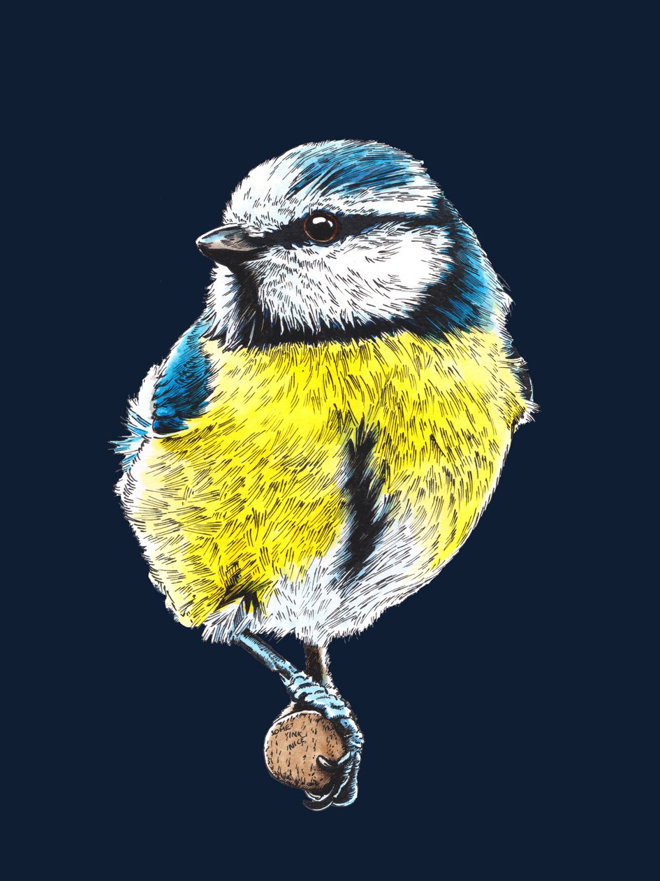 The Blue Tit في منتصف الليل الأزرق ، 2022 بواسطة مايك ديفيس