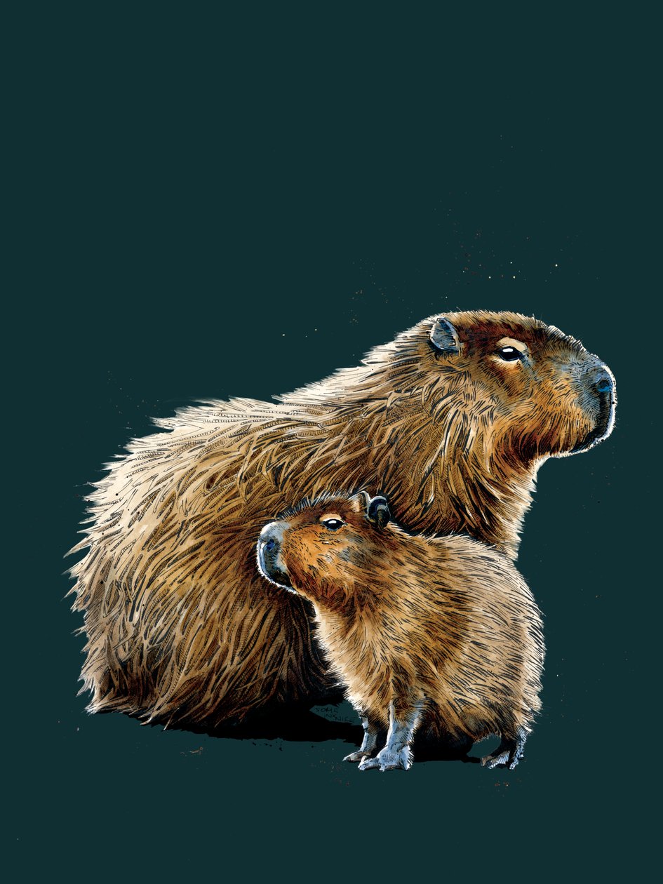 The Capybaras على Deep Cyan ، 2020 بواسطة مايك ديفيس