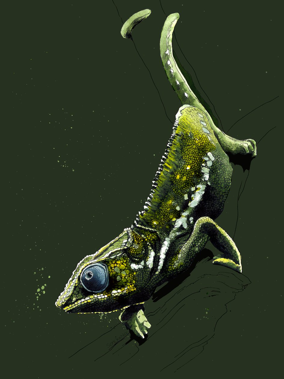 The Chameleon on Forest Green ، 2020 بواسطة مايك ديفيس
