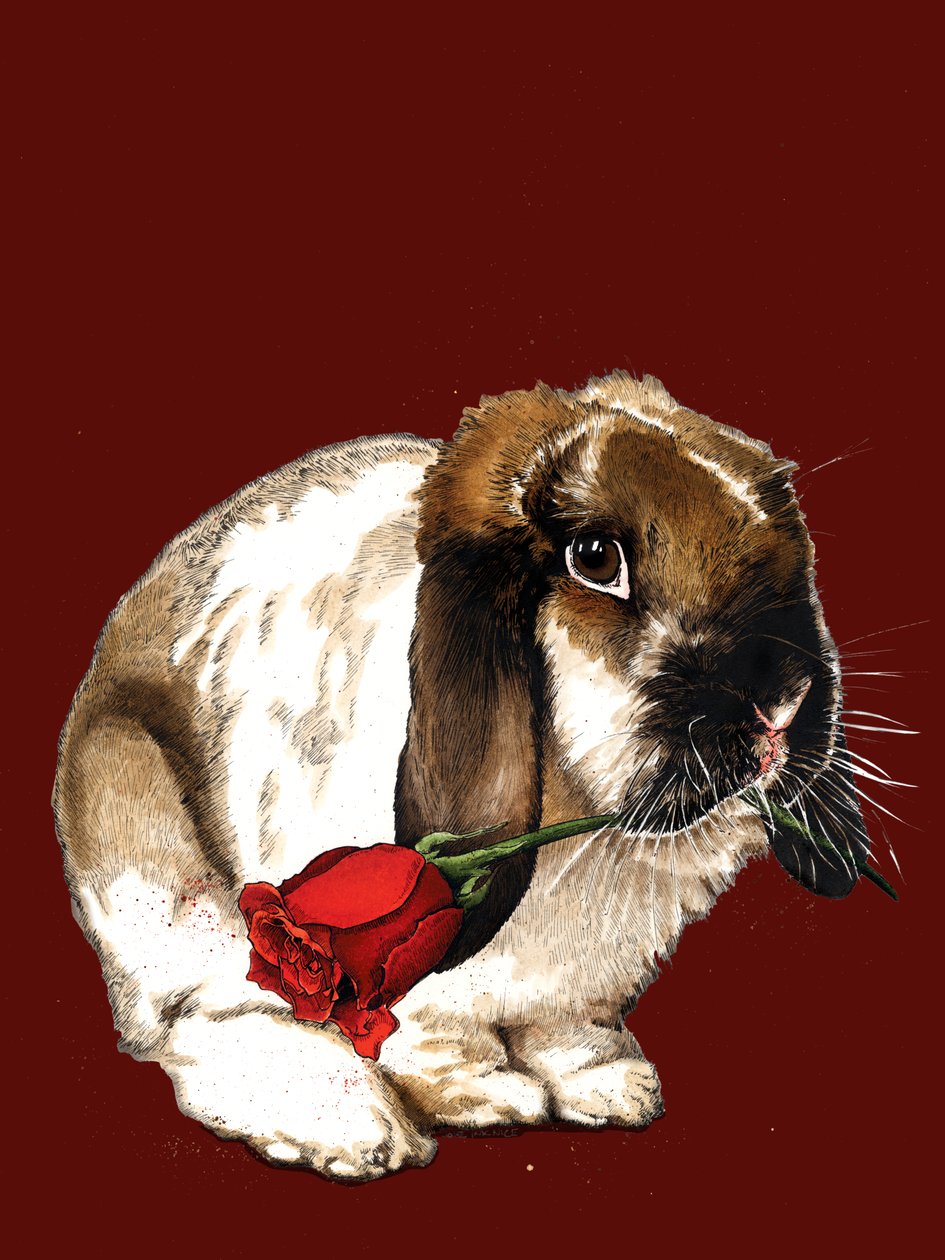 The Love Bunny on Red Oxide ، 2020 بواسطة مايك ديفيس