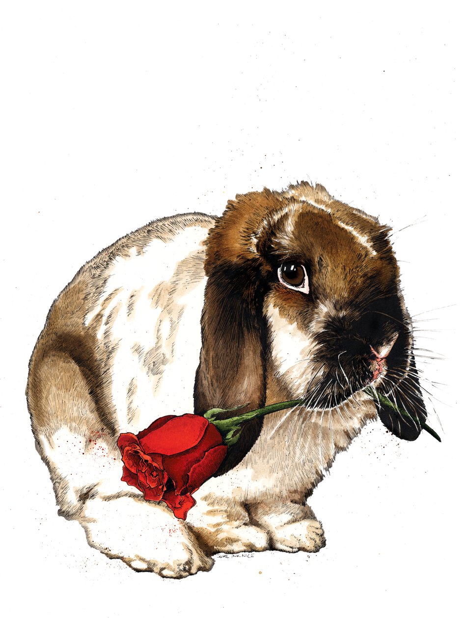 The Love Bunny on White ، 2020 بواسطة مايك ديفيس