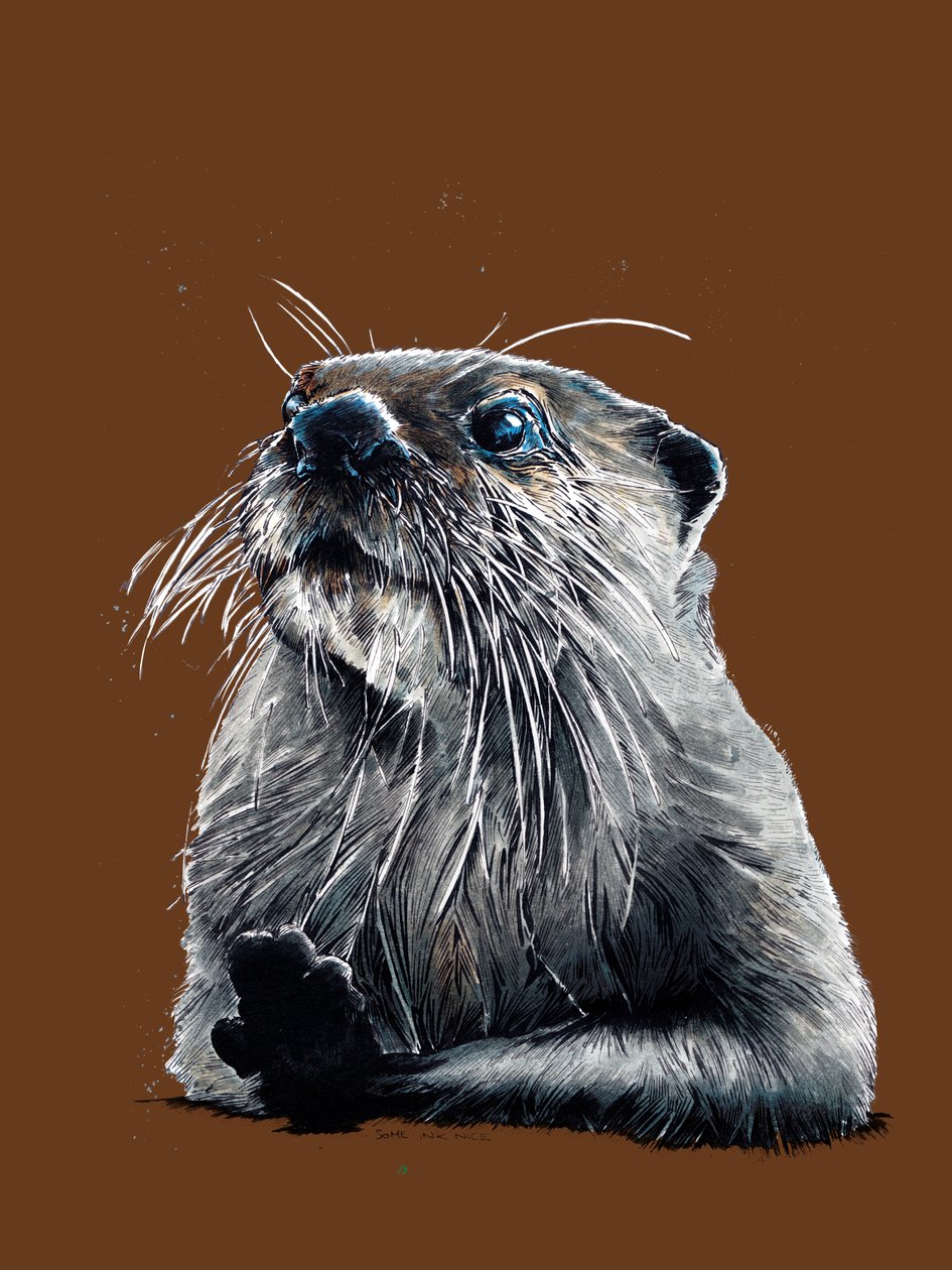 The Otter on Burnt Orange ، 2020 بواسطة مايك ديفيس
