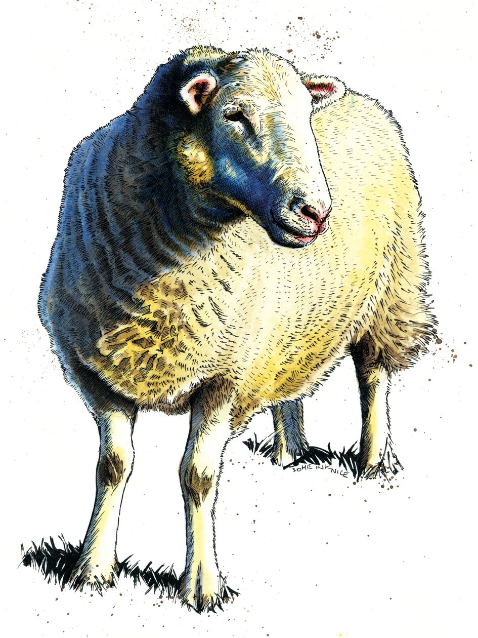 The Sheep on White ، 2020 بواسطة مايك ديفيس