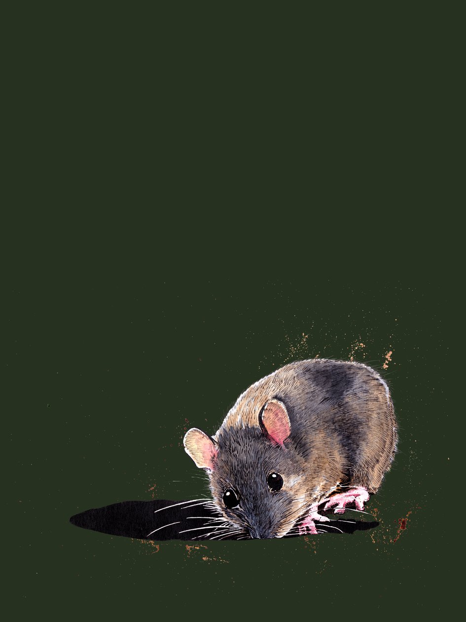 The Woodmouse on Forest Green ، 2020 بواسطة مايك ديفيس