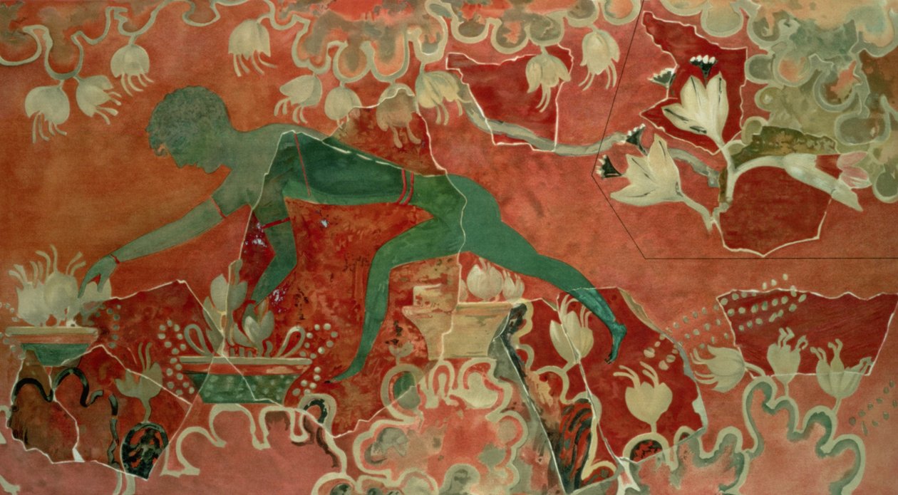 فتى من القرد الأزرق فريسكو ، قصر كنوسوس ، كريت ، c.1500 قبل الميلاد (لوحة جدارية) بواسطة مينوان
