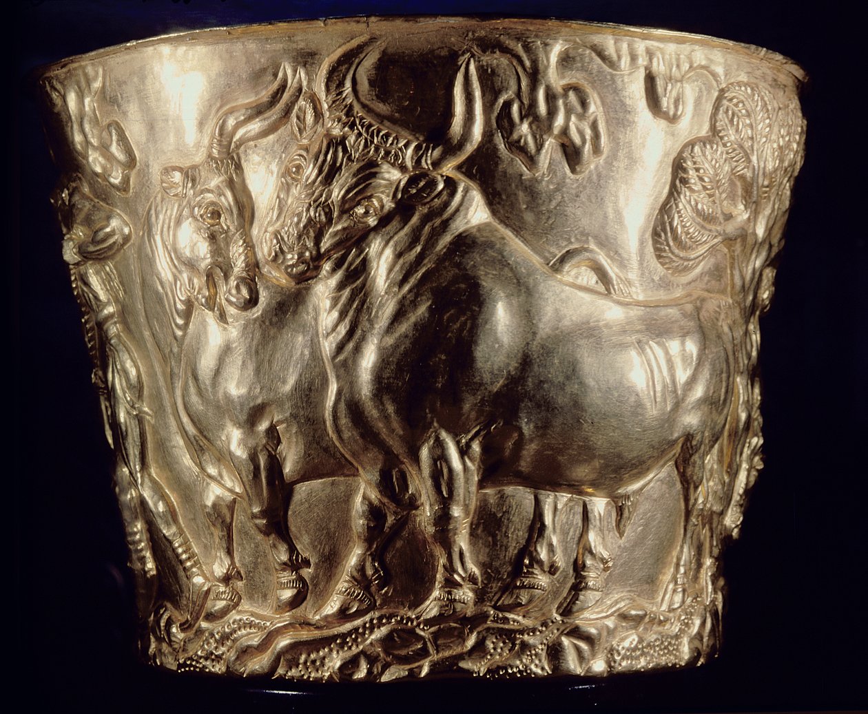كأس ، يصور ثورًا محليًا ، تم العثور عليه في المقبرة الملكية لـ Vaphio ، Sparta ، أواخر Minoan I ، c.1500 قبل الميلاد (الذهب) (انظر أيضًا 148825) بواسطة مينوان